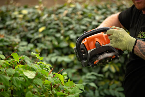 Hedge Trimming & Maintenance - GCS Facilities Management in Surrey