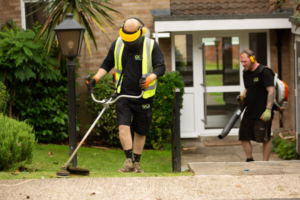 Grounds maintenance in Surrey from GCS